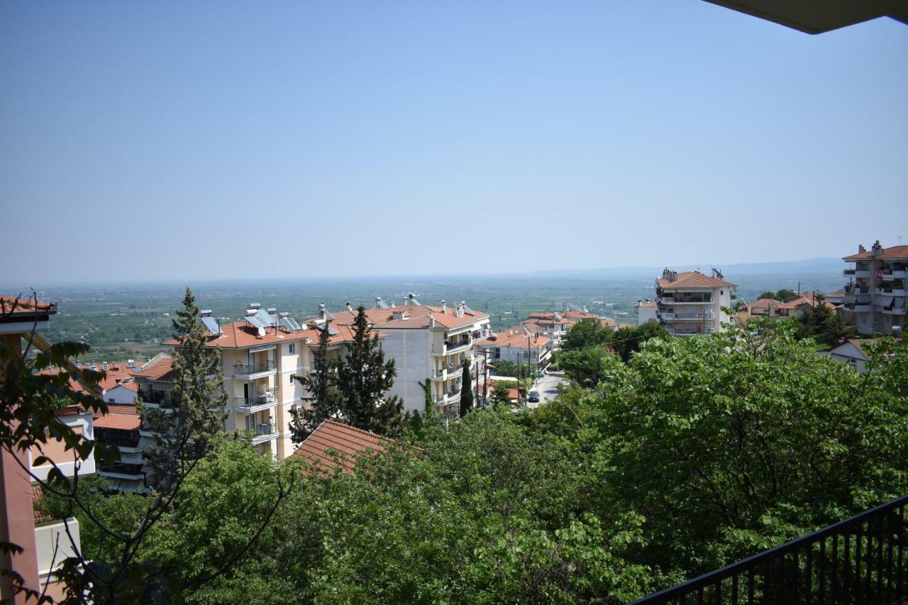 Small Apartment, Great View! Veria  Exteriér fotografie
